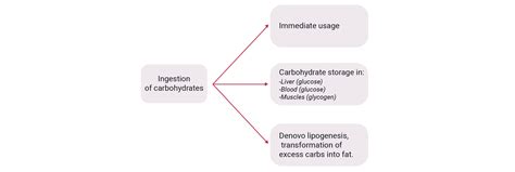 Breath Analysis & Diabetes - Pnoe