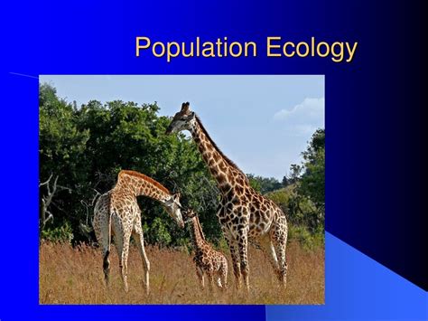 PPT - Population Ecology PowerPoint Presentation, free download - ID:6147597