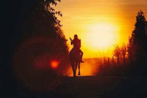 Horse riding in countryside during bright sunset · Free Stock Photo