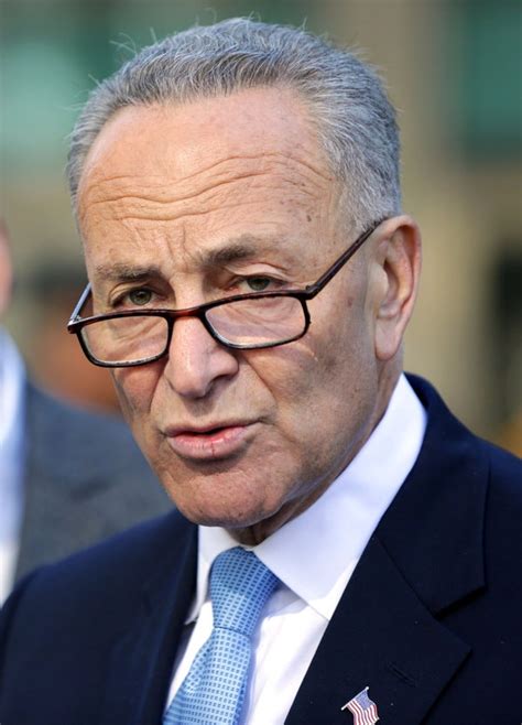 Charles E. Schumer to Urge Democrats to ‘Embrace Government’ - The New ...