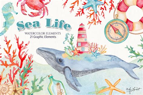 Sea Life Watercolor at PaintingValley.com | Explore collection of Sea ...