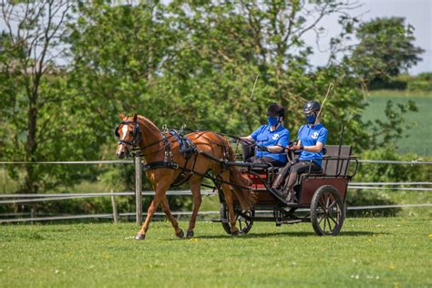 Carriage Driving for therapy and fun