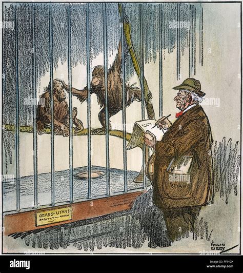 SCOPES TRIAL CARTOON, 1925. /n'Gathering Data for the Tennessee [Scopes ...