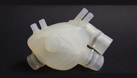 Researchers create 3D printed, silicone artificial heart - MassDevice