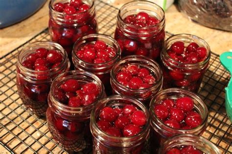 How a Vibrant, Factory-Made Sweet Usurped the Original Maraschino Cherry - Gastro Obscura