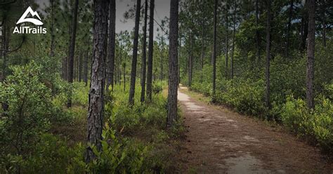 Best hikes and trails in North Myrtle Beach | AllTrails