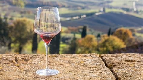 Quali sono i vini italiani più caratteristici? - Il Matto Quotidiano