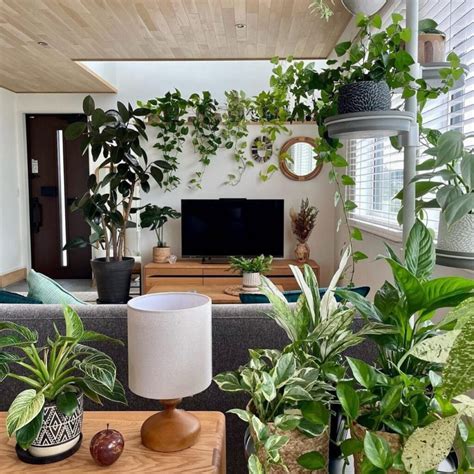 7 Air-Purifying Houseplants That Will Make Your Home Healthier