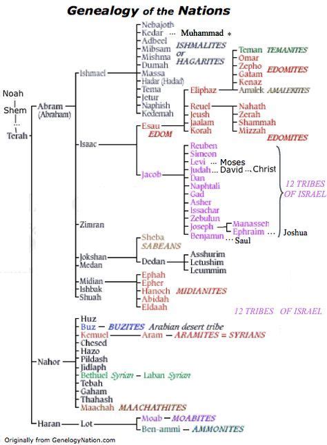 Abraham's Lineage - Bible Genealogy Bible Study Notebook, Bible Study ...