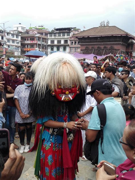 Gai Jatra Special 2017 in Kathmandu | Kathmandu, Nepal trekking, Special