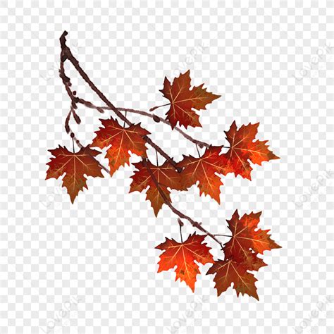 Autumn Red Leaves Branches, Autumn Red Leaves, Brown Leaves, Autumn Branches PNG Transparent ...