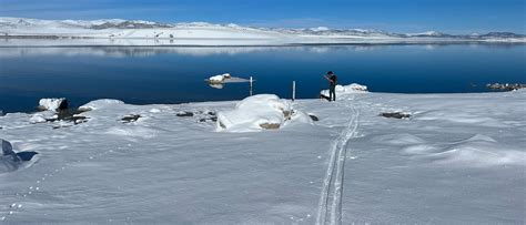 A glimpse of the amazing new snow at Mono Lake