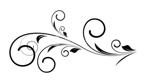 Decorative Swirls Vector Free at GetDrawings | Free download