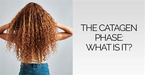 The Catagen Phase: What Is It And How Does It Relate to Hair Loss?