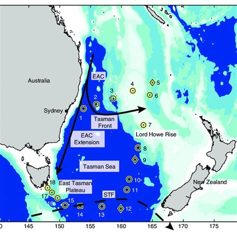 (a) Surface circulation of the Tasman Sea region as shown by the... | Download Scientific Diagram