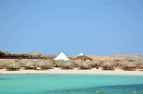 Paradise Island (Hurghada) - 2021 All You Need to Know Before You Go ...