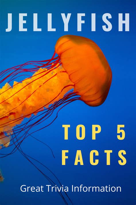 Top 5 interesting facts about Jellyfish | Jellyfish, Jellyfish facts, Fun facts