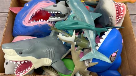 Shark Toys Unboxing: Sea Animal Adventure for Kids | Educational Fun - YouTube