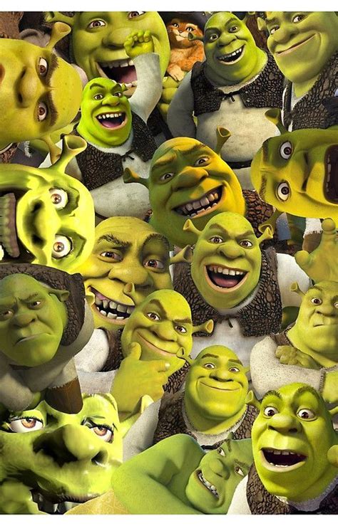 shrek phone wallpaper - Google Search | Shrek, Shrek memes, Cartoon wallpaper