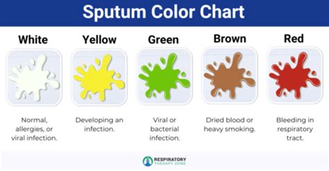 Sputum: Definition, Colors, Causes, and Conditions (2024)