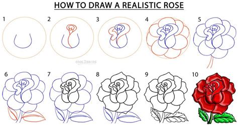 Rose To Draw Step By Step – Warehouse of Ideas