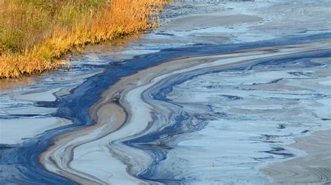 Calgary University utilizing investigative tool for wildfires, oil spills