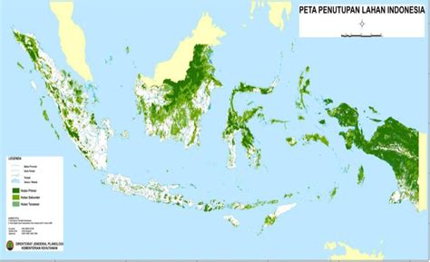 Peta Persebaran Hutan Di Indonesia Homecare24 - vrogue.co