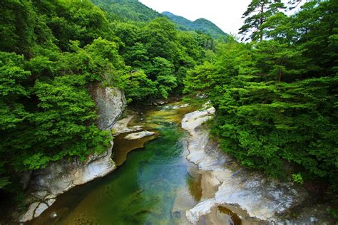 1280x720 resolution | green leafed trees, landscape, nature, spring ...