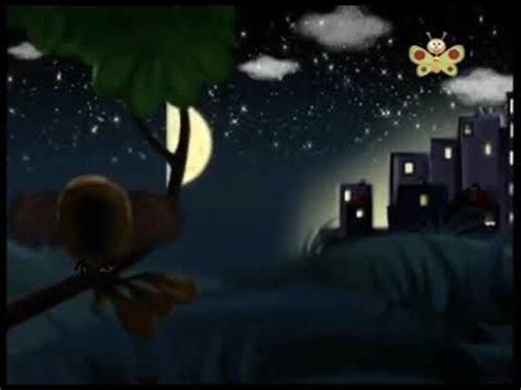 Look and you Hibou BabyTV Français - YouTube