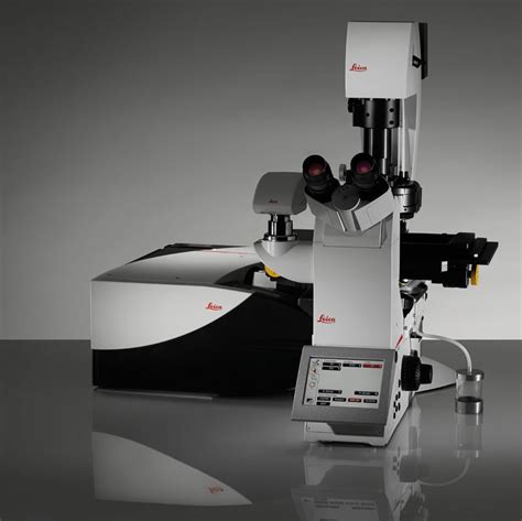 Leica TCS SP8 Confocal Microscope – Biological Imaging Facility