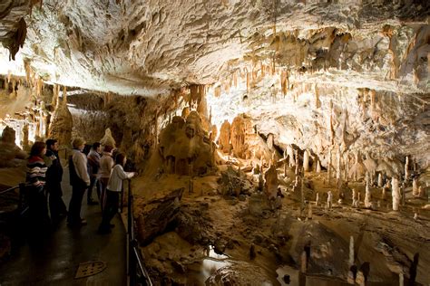 50 Breathtaking Postojna Cave Photos To Inspire You To Visit Slovenia