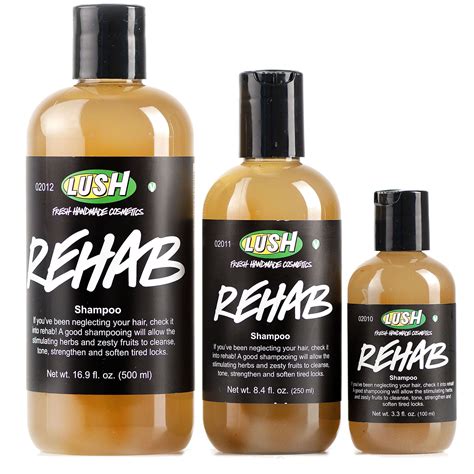 How To Use Lush Revive Hair Moisturizer - Gerald Hipple Coiffure