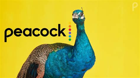 Peacock streaming service arrives on Amazon Fire TV devices | What Hi-Fi?