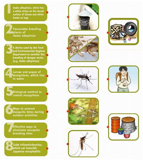 Understanding Mosquitoes and Methods of Mosquito Prevention and Control