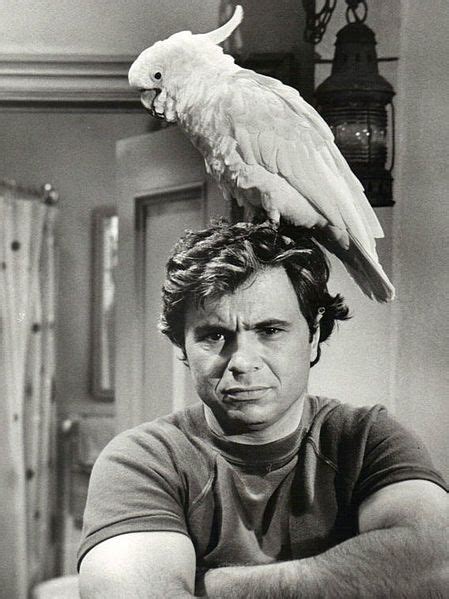 Baretta | Old tv shows, Classic television, Vintage tv