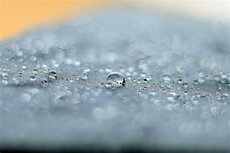 Macro Photography of Water Droplets · Free Stock Photo