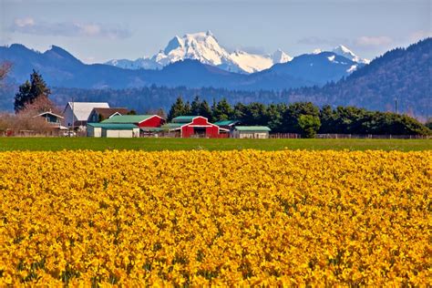 Skagit County Mountains