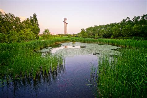 BEIJING | Observation Tower at Olympic Park | 243m | Com - Page 9 - SkyscraperCity