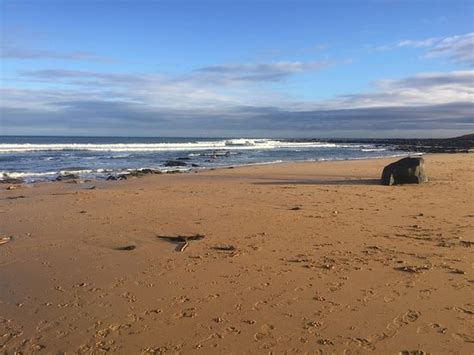 Kingsbarns Beach (Scotland): UPDATED 2018 Top Tips Before You Go (with ...