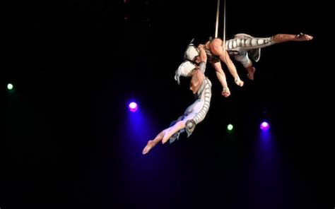 Cirque du Soleil performer dies after falling in front of audience