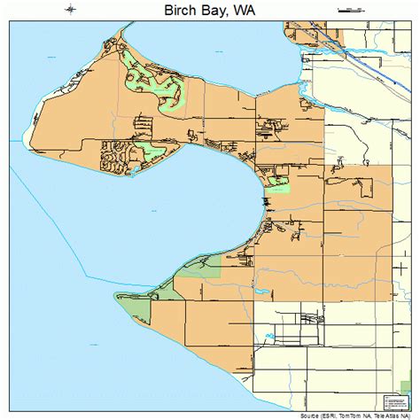 Birch Bay Washington Street Map 5306190