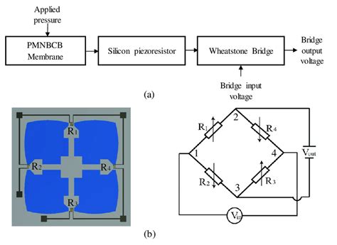 (a) Working principle of the piezoresistive pressure sensor; (b)... | Download Scientific Diagram