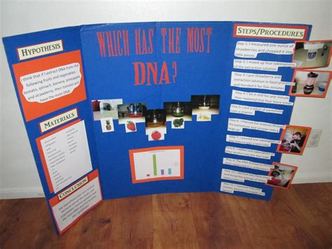 ELLISON: Tanner's Science Fair Project