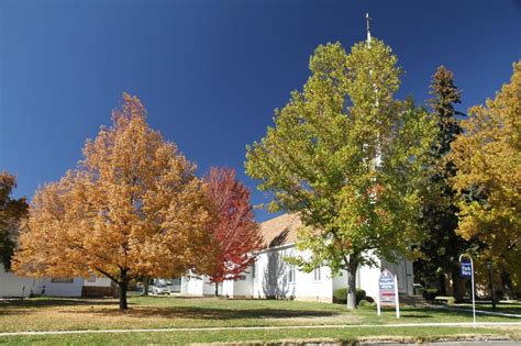 Visit More Than 60 Landmarks On The Kit Carson Trail In Nevada