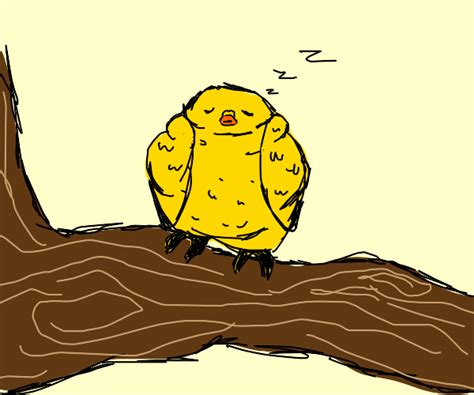 Sleepy Bird - Drawception