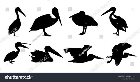 Set Raven Bird Silhouette Raven Bird Stock Vector (Royalty Free ...