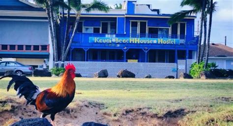 Kauai Beach House Hostel | Hostel Jobs