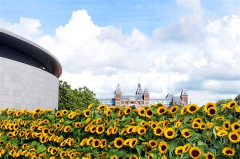 Amsterdam's 12 best museums - Lonely Planet