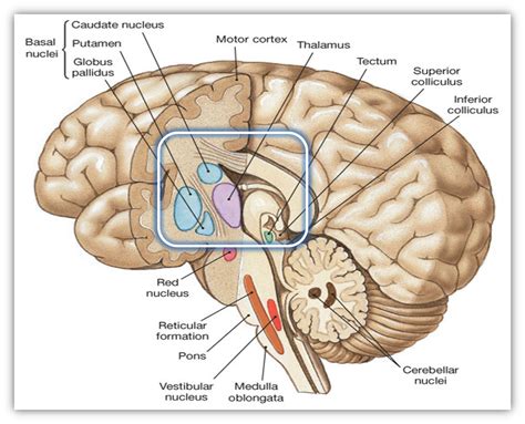 Suyash P Awate - Research