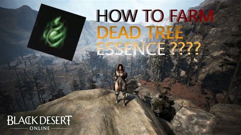 BDO - Black Desert Online How to Farm Dead Tree Essence - YouTube